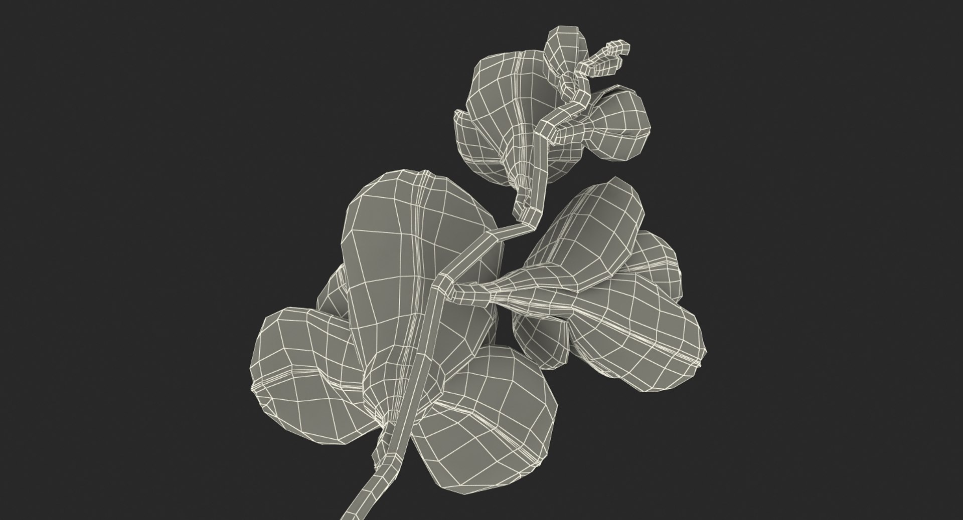3D red freesia flower https://p.turbosquid.com/ts-thumb/HJ/oeRh5u/MzoFeENA/redfreesiaflower3dsmodel018/jpg/1518900593/1920x1080/fit_q87/d921522ade73fd715691d278ac8dfdbb0b8cdb2e/redfreesiaflower3dsmodel018.jpg