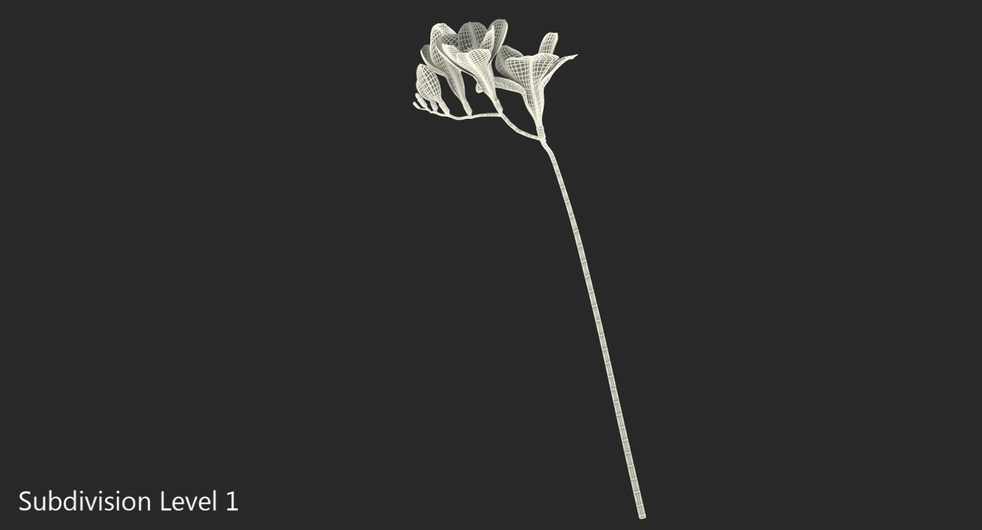 3D red freesia flower https://p.turbosquid.com/ts-thumb/HJ/oeRh5u/NguV9xTl/redfreesiaflower3dsmodel008/jpg/1518900541/1920x1080/fit_q87/9f8ae26888fd848996e60ba6083e354ea3dd43fa/redfreesiaflower3dsmodel008.jpg