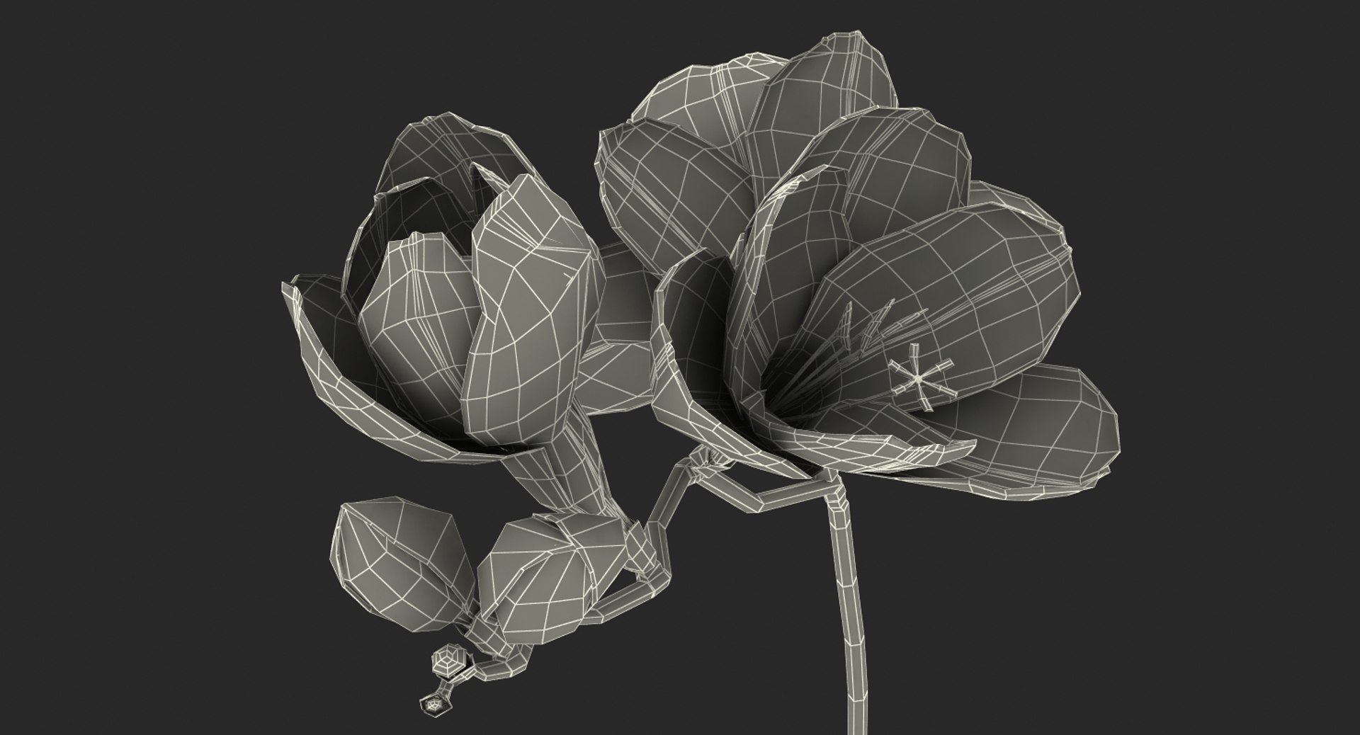3D red freesia flower https://p.turbosquid.com/ts-thumb/HJ/oeRh5u/Za5NneIY/redfreesiaflower3dsmodel017/jpg/1518900589/1920x1080/fit_q87/fa7bbccf341aa6ab8123c00b87600f686b85a81c/redfreesiaflower3dsmodel017.jpg