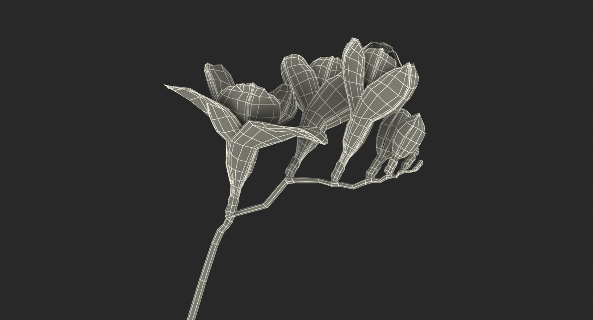 3D red freesia flower https://p.turbosquid.com/ts-thumb/HJ/oeRh5u/lhPusDaZ/redfreesiaflower3dsmodel015/jpg/1518900583/1920x1080/fit_q87/e7b6ea09dfa33f1401296693a0fa21283606959e/redfreesiaflower3dsmodel015.jpg