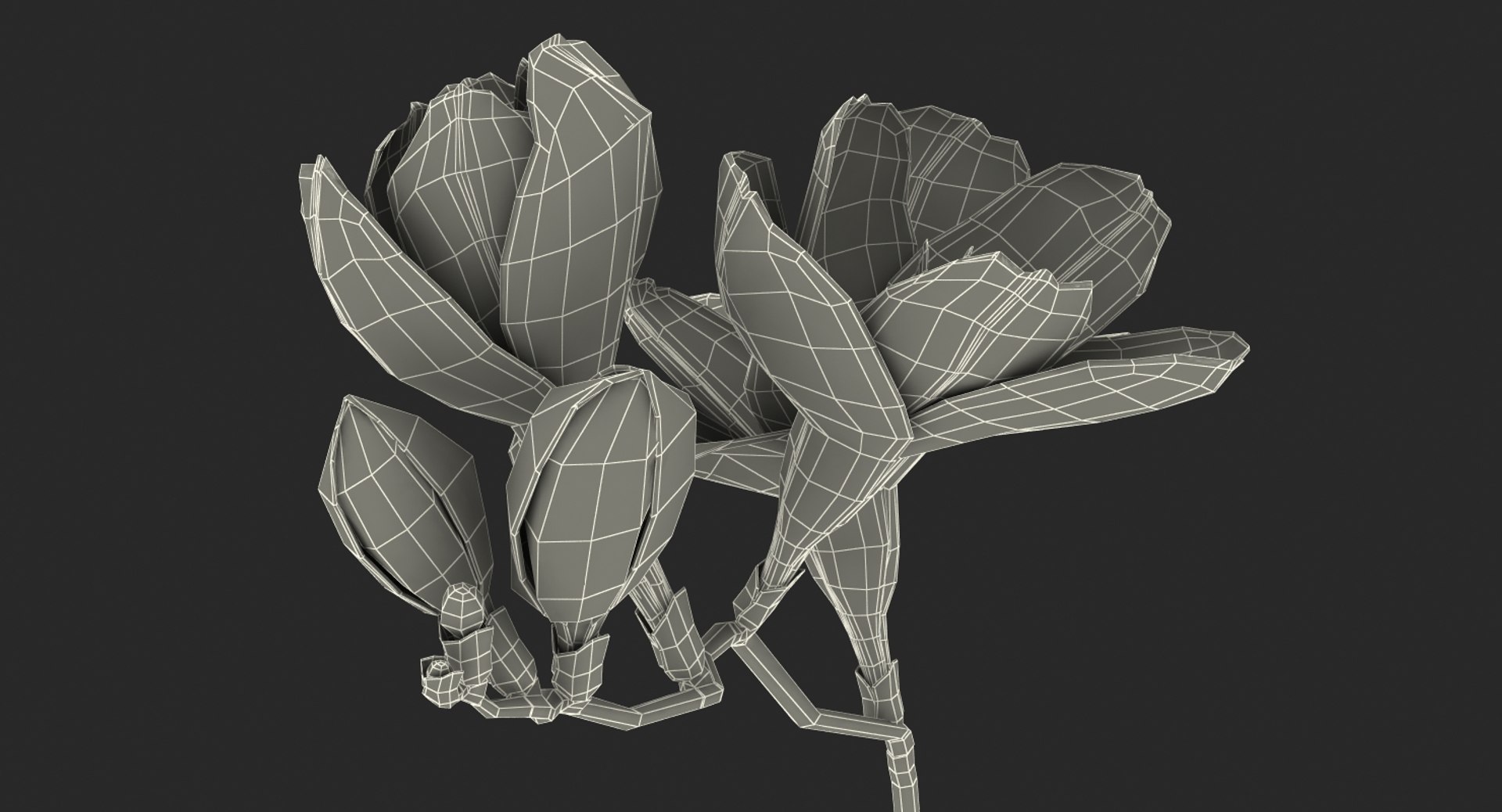 3D red freesia flower https://p.turbosquid.com/ts-thumb/HJ/oeRh5u/nhTWQpAm/redfreesiaflower3dsmodel016/jpg/1518900586/1920x1080/fit_q87/92db816adae52c0e91818ec04d6b1fab8eba0f00/redfreesiaflower3dsmodel016.jpg