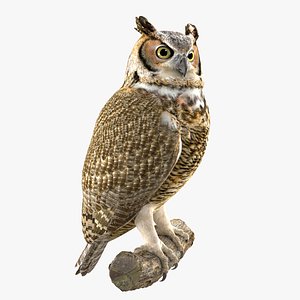 great owl bird 3D model