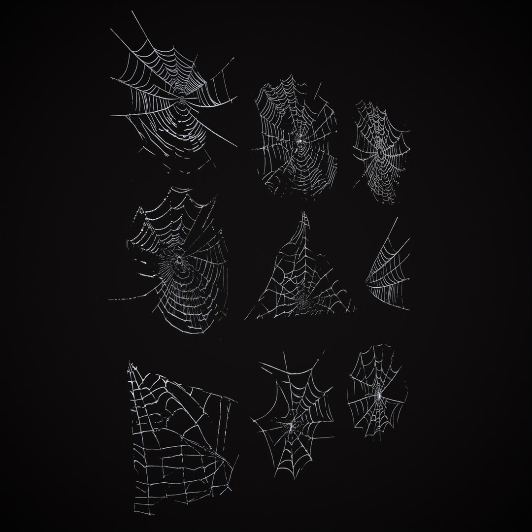3D Spider Webs Pack One model https://p.turbosquid.com/ts-thumb/HK/2obak3/V9/8/png/1697664074/1920x1080/fit_q87/73d2613d230fd649a391e84ca3f1b6929ee9fbba/8.jpg