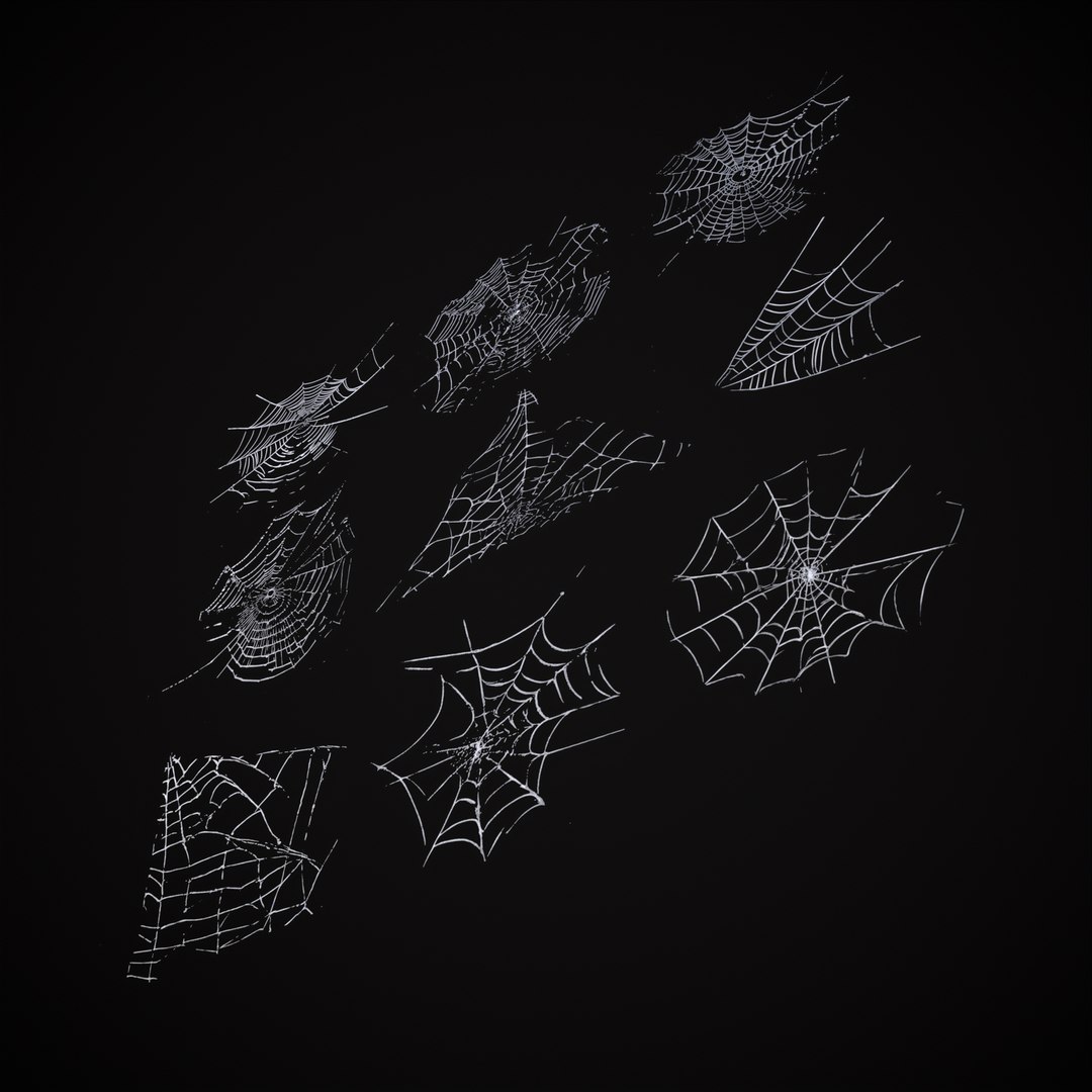 3D Spider Webs Pack One model https://p.turbosquid.com/ts-thumb/HK/2obak3/jQ/14/png/1697664100/1920x1080/fit_q87/a6b44ae70d8376cd59e94da5715be54386a2155e/14.jpg