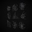 Spider Webs Pack One