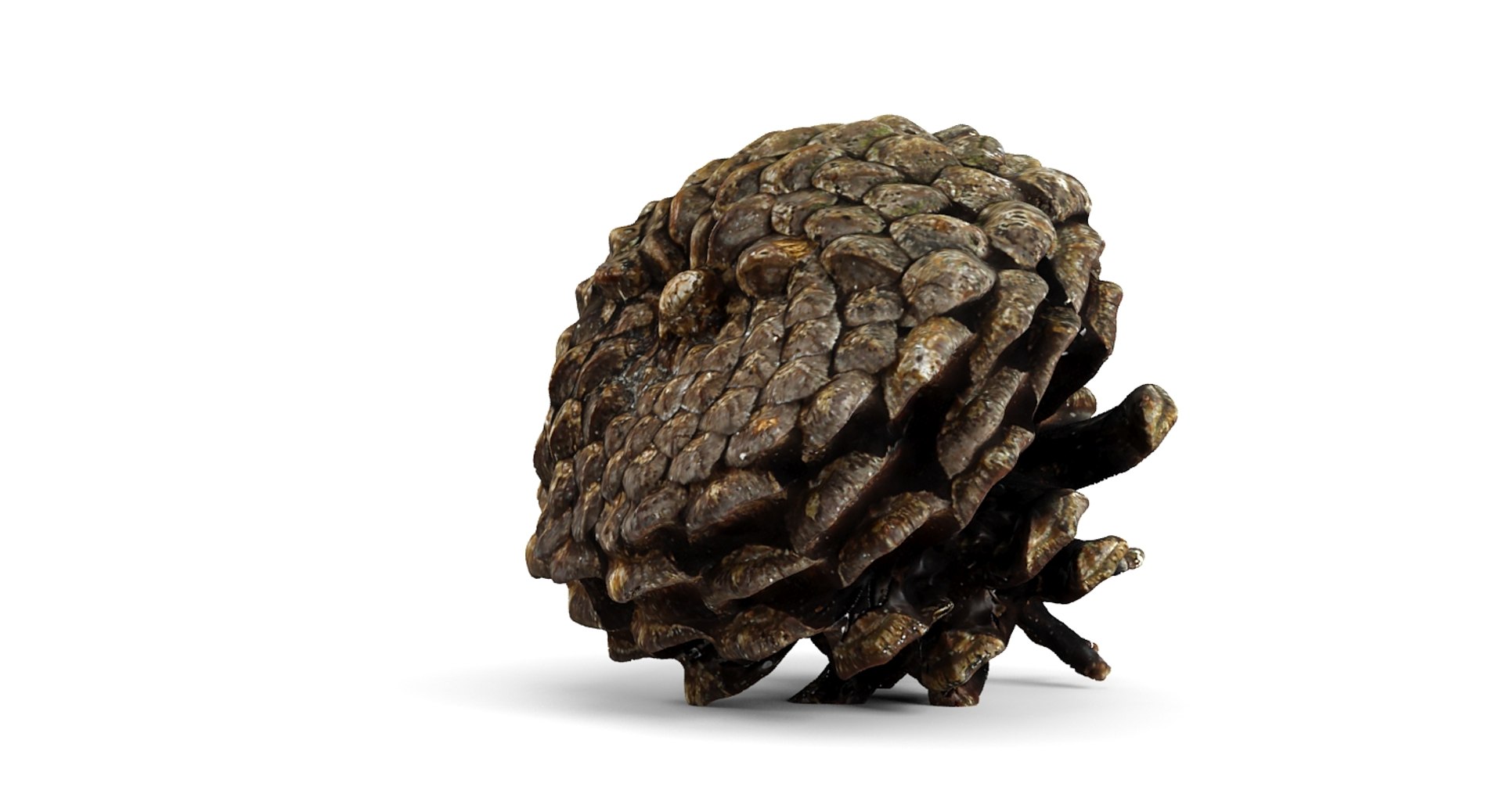closed pinecone 3d 3ds https://p.turbosquid.com/ts-thumb/HK/7WKv2Q/2haiUhzG/4/jpg/1444235175/1920x1080/fit_q87/89454e221803b84ac80261f505119cf9163e94ca/4.jpg