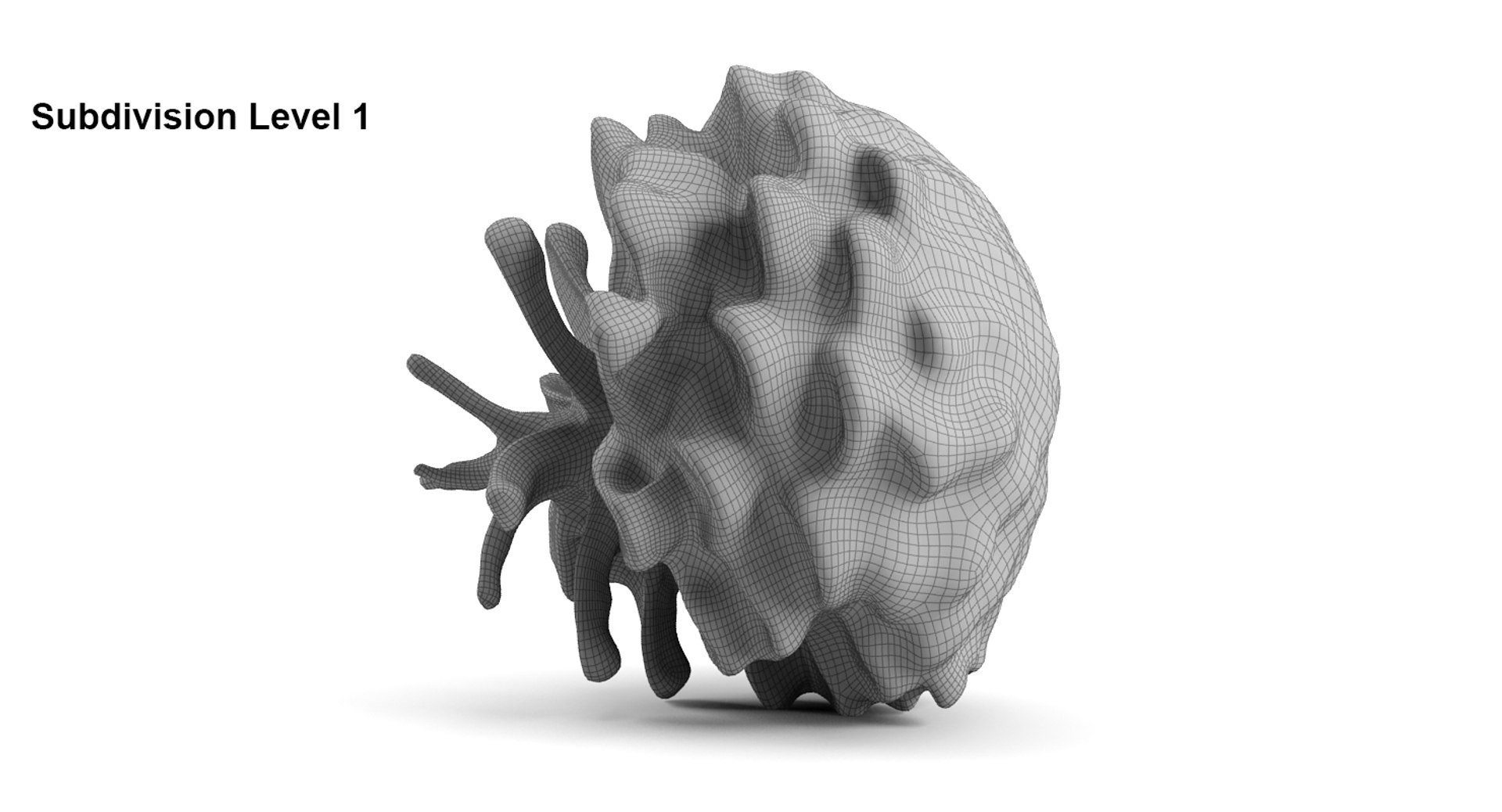closed pinecone 3d 3ds https://p.turbosquid.com/ts-thumb/HK/7WKv2Q/d1sIgGFc/s11/jpg/1444235328/1920x1080/fit_q87/82b6c39ecce8a0668fe7ca91ec977bc9ebf1a9c9/s11.jpg