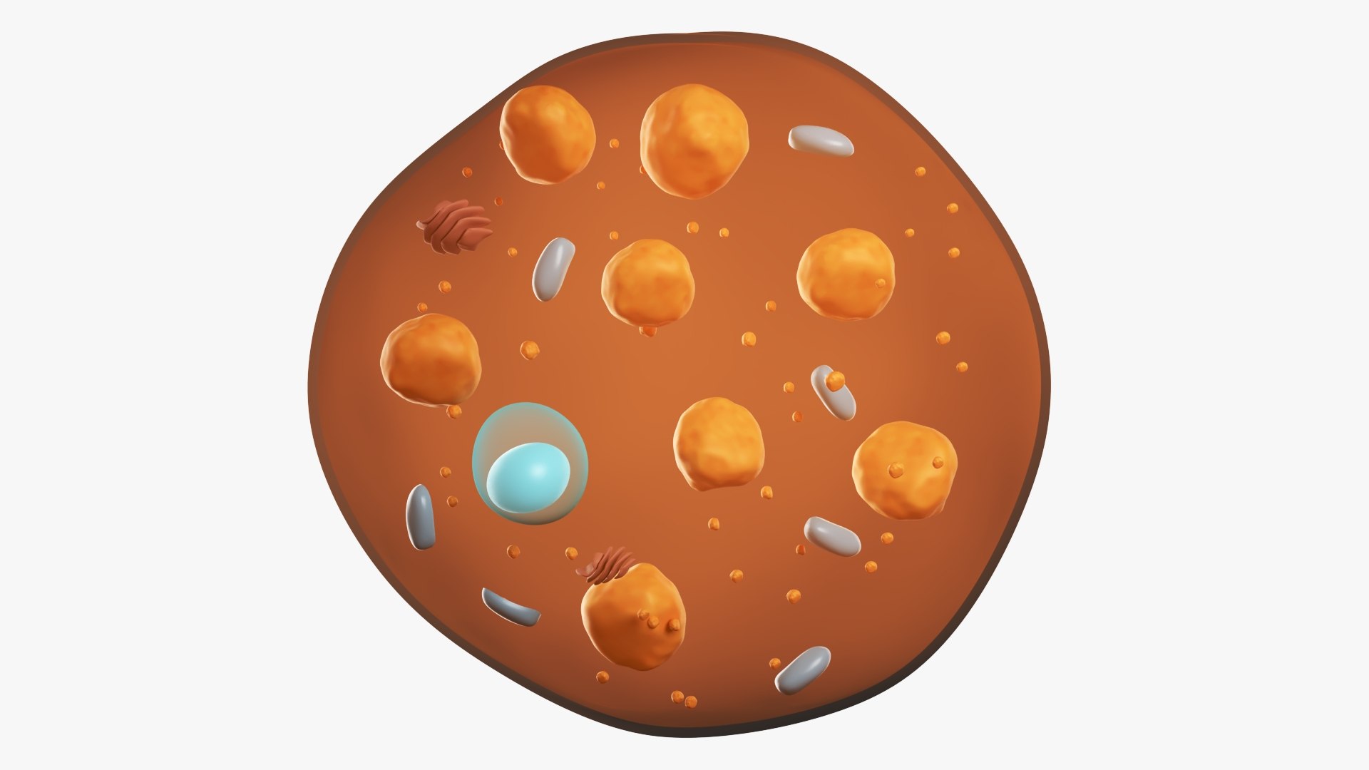 3D Brown Fat Cell - TurboSquid 2251364
