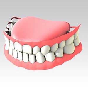 3d mouth teeth model