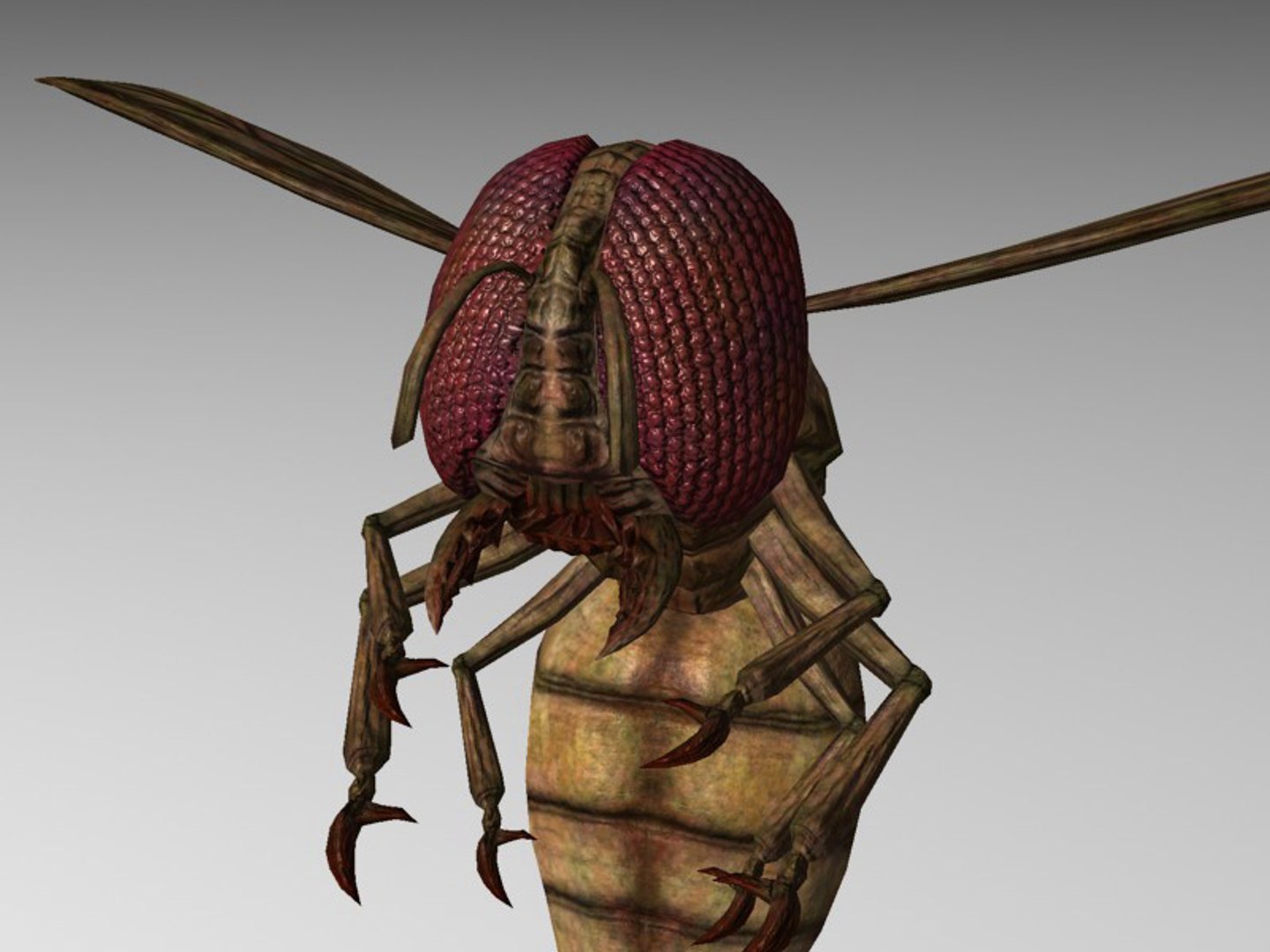 monster wasp 3d model https://p.turbosquid.com/ts-thumb/HK/MFKygR/U3zmPjfJ/scr1/jpg/1269952347/1920x1080/fit_q87/c373effb61cf101c737712dbfbccdb5ce5126d97/scr1.jpg