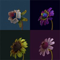 Flower Creator