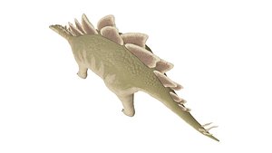 3D stegosaurus model