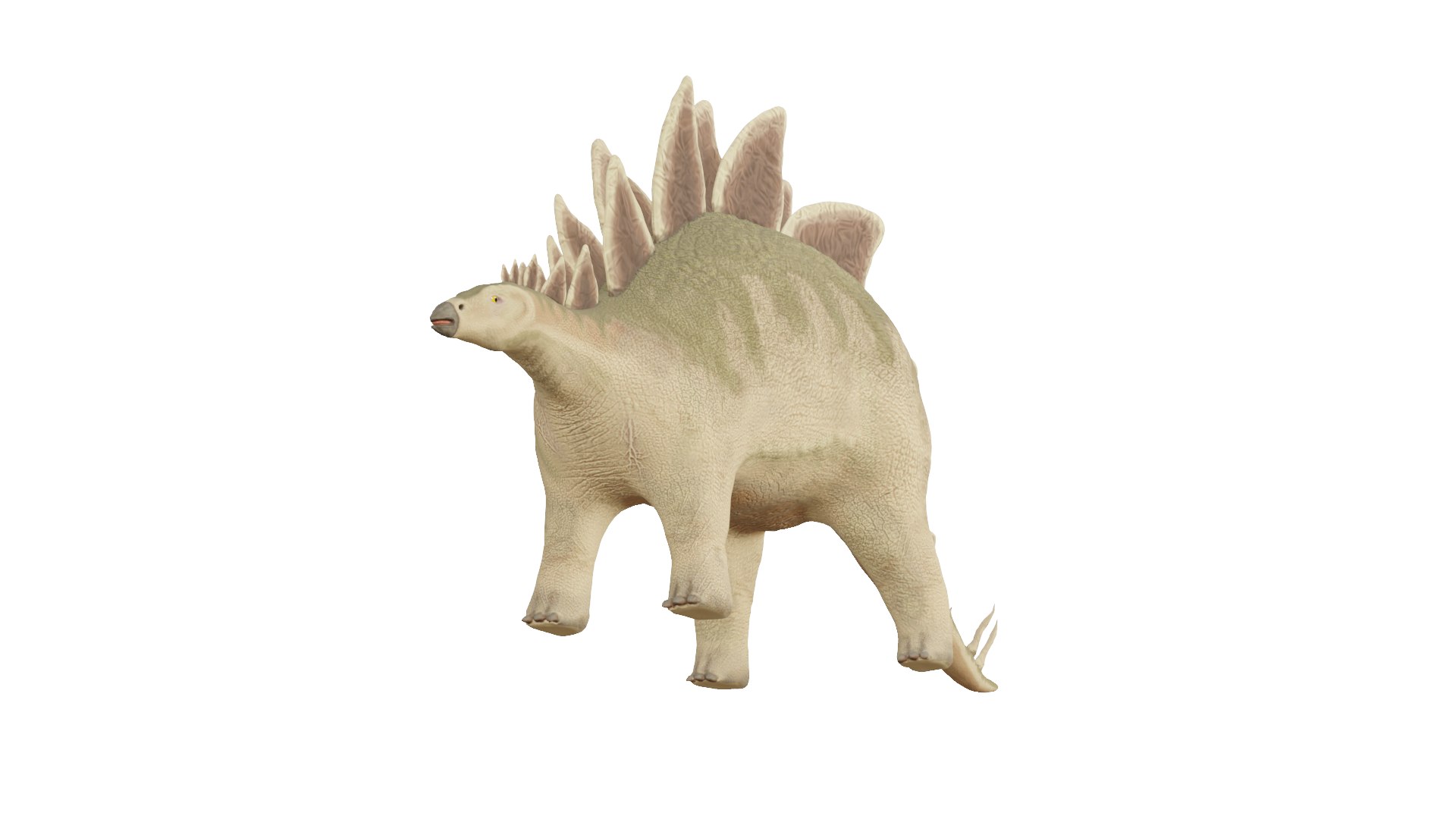 3D Stegosaurus Model - TurboSquid 2131285