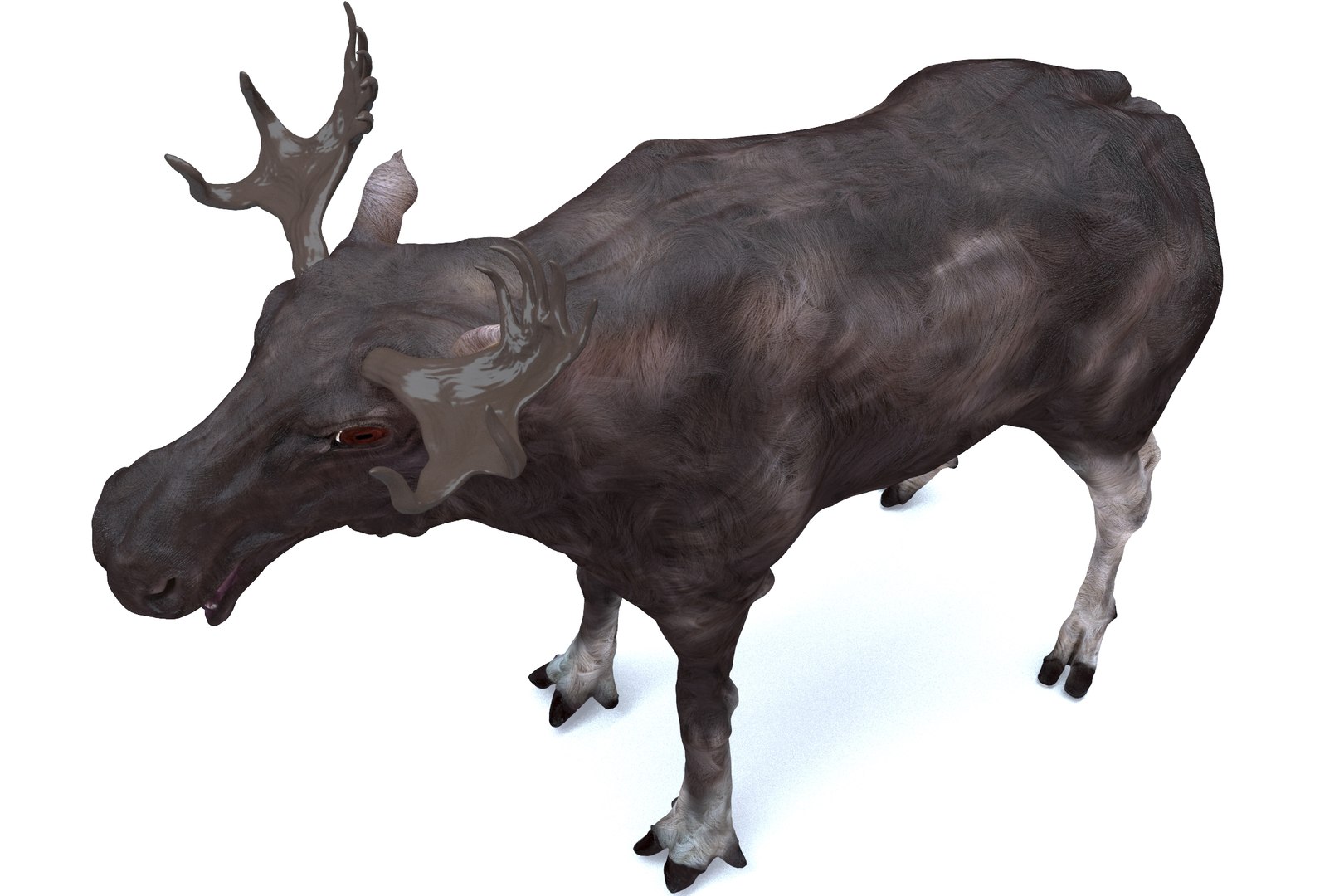 3D Forest Moose Model - TurboSquid 1707861