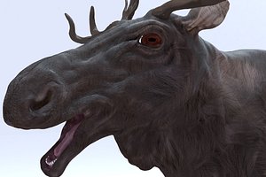 3D forest moose model