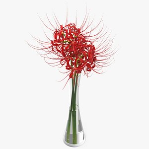 3D Bouquet of Spider Lilies in Glass Vase