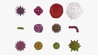 Biological Organisms