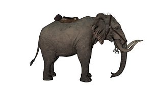 3D model Ancient War Elephant 3D Model  Realistic Fantasy Creature with Saddle  Tusks
