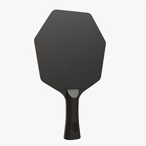 3D Modern Shape Table Tennis Racket