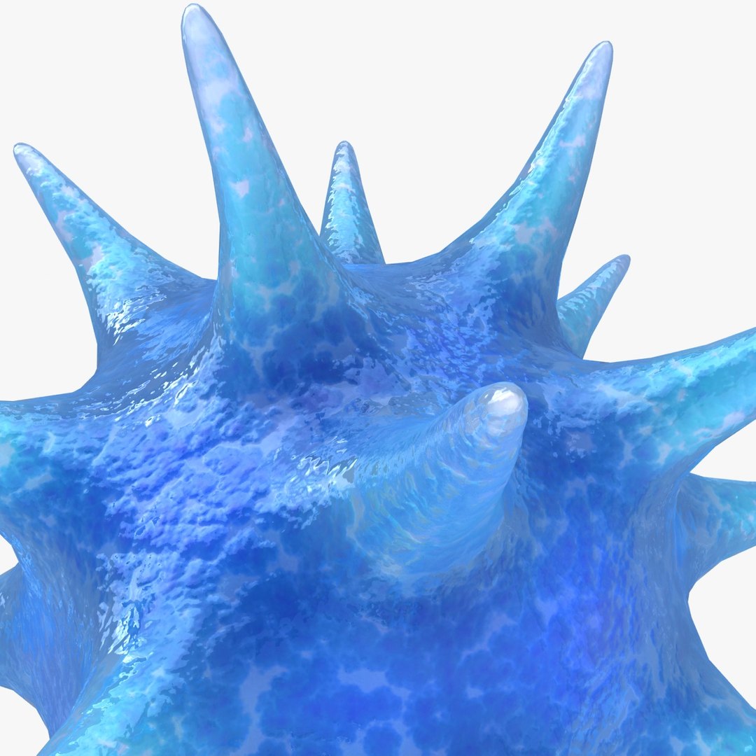 virus 02 blue 3d 3ds https://p.turbosquid.com/ts-thumb/HL/6N9ooU/fnhzknYx/4/jpg/1468739909/1920x1080/fit_q87/0496ff2dfef3a7720e4a038600cf5c26a9c079f1/4.jpg
