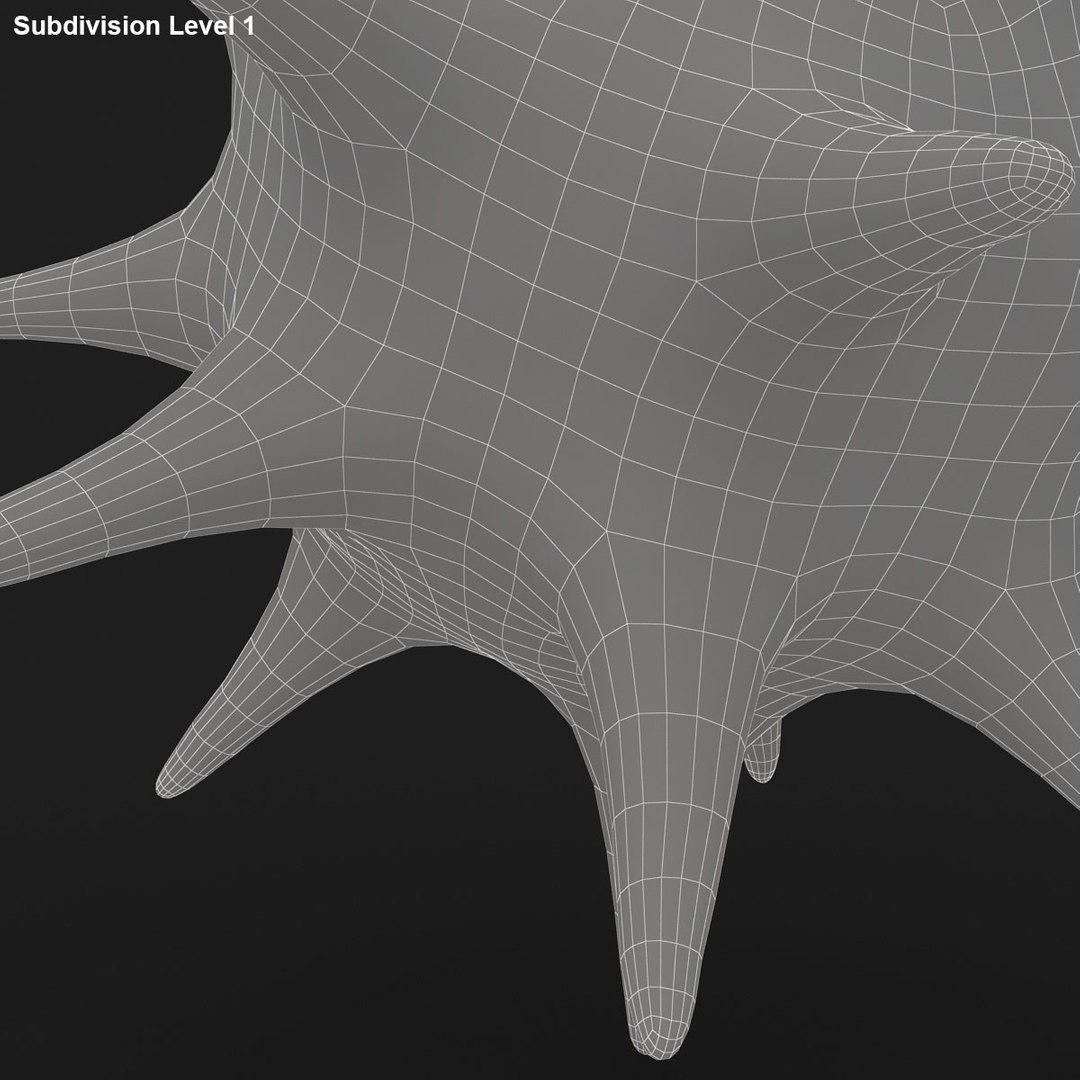 virus 02 blue 3d 3ds https://p.turbosquid.com/ts-thumb/HL/6N9ooU/ifi6lHHS/cinnamon_rr_15/jpg/1468739910/1920x1080/fit_q87/77723acc034929c6a9c086a4ae693377158f3c9a/cinnamon_rr_15.jpg