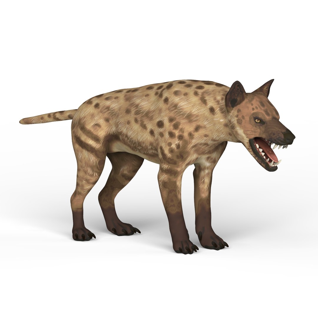 Uzbek seks sir kamera