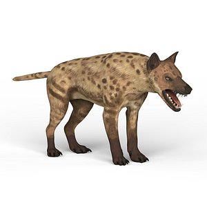 Monster Dog