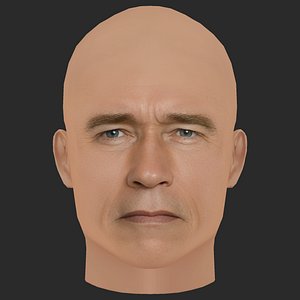 Low Poly Arnold Schwarzenegger Head