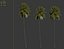3D Coconut Palm 03