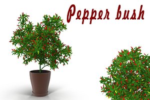 max bush pepper