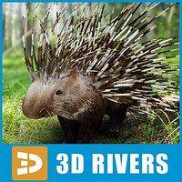 Porcupine by 3DRivers