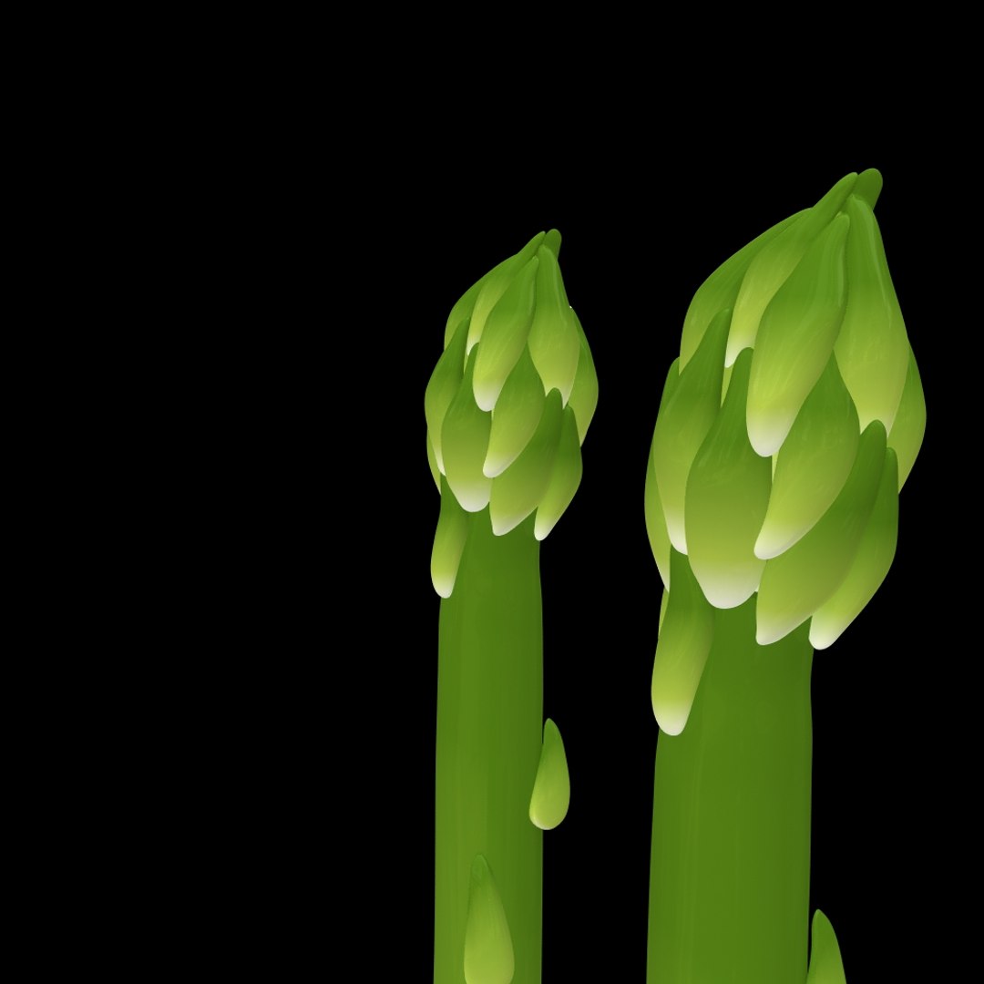 asparagus 3d model https://p.turbosquid.com/ts-thumb/HL/aq0Fkg/1BHY4O6A/asparagus_img2/jpg/1427124336/1920x1080/fit_q87/eb5c044de6e5d31e3f2888334e915d8e2558aa0e/asparagus_img2.jpg