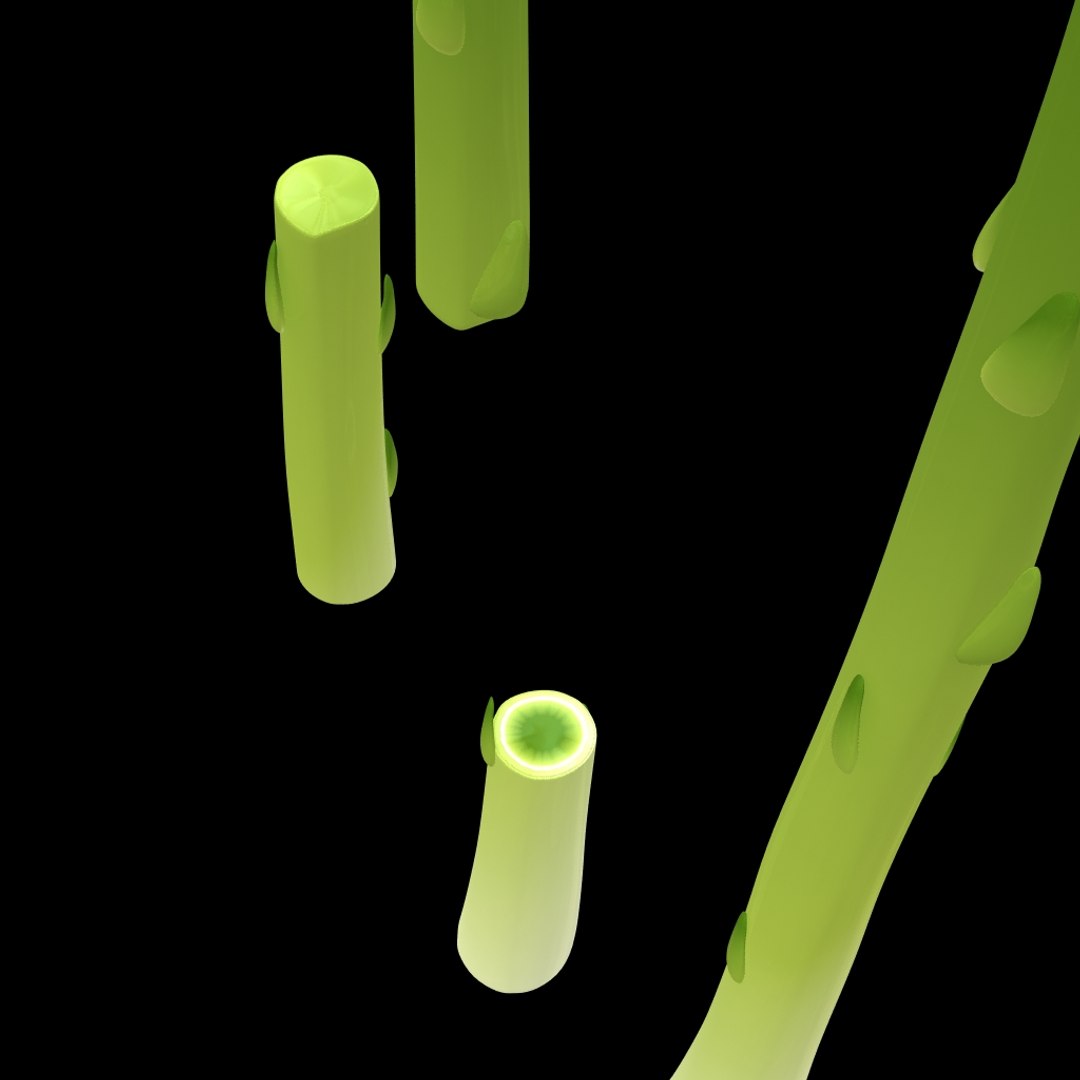 asparagus 3d model https://p.turbosquid.com/ts-thumb/HL/aq0Fkg/uO9xojVv/asparagus_img3/jpg/1427124336/1920x1080/fit_q87/18a9be20f2226f98955f0027119c8e5c4d81e8af/asparagus_img3.jpg