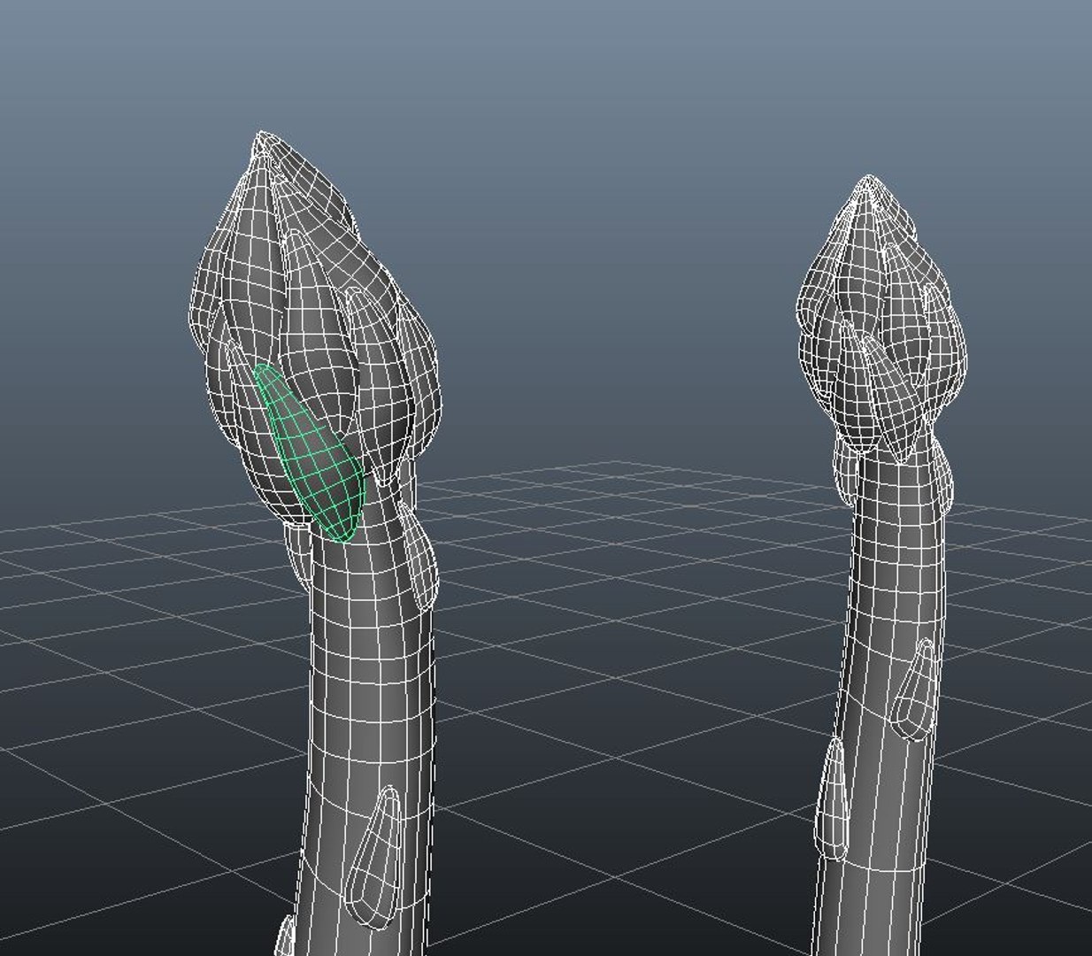 asparagus 3d model https://p.turbosquid.com/ts-thumb/HL/aq0Fkg/vyqaSYz6/asparagus_wire2/jpg/1427124336/1920x1080/fit_q87/1d785b882ed3dd7546a547da0cc7b636284b1842/asparagus_wire2.jpg