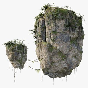 Floating Rock Vine and Moss
