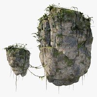 Floating Rock Vine and Moss