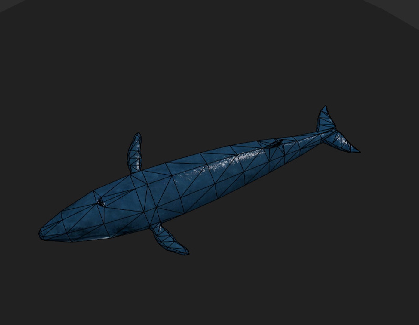 3d rigged games animation model https://p.turbosquid.com/ts-thumb/HL/gPW6A7/KMdVovYn/whale3/jpg/1434973065/1920x1080/fit_q87/caeabd0b927ff43bf285a48f8af0fd0383fa13b3/whale3.jpg