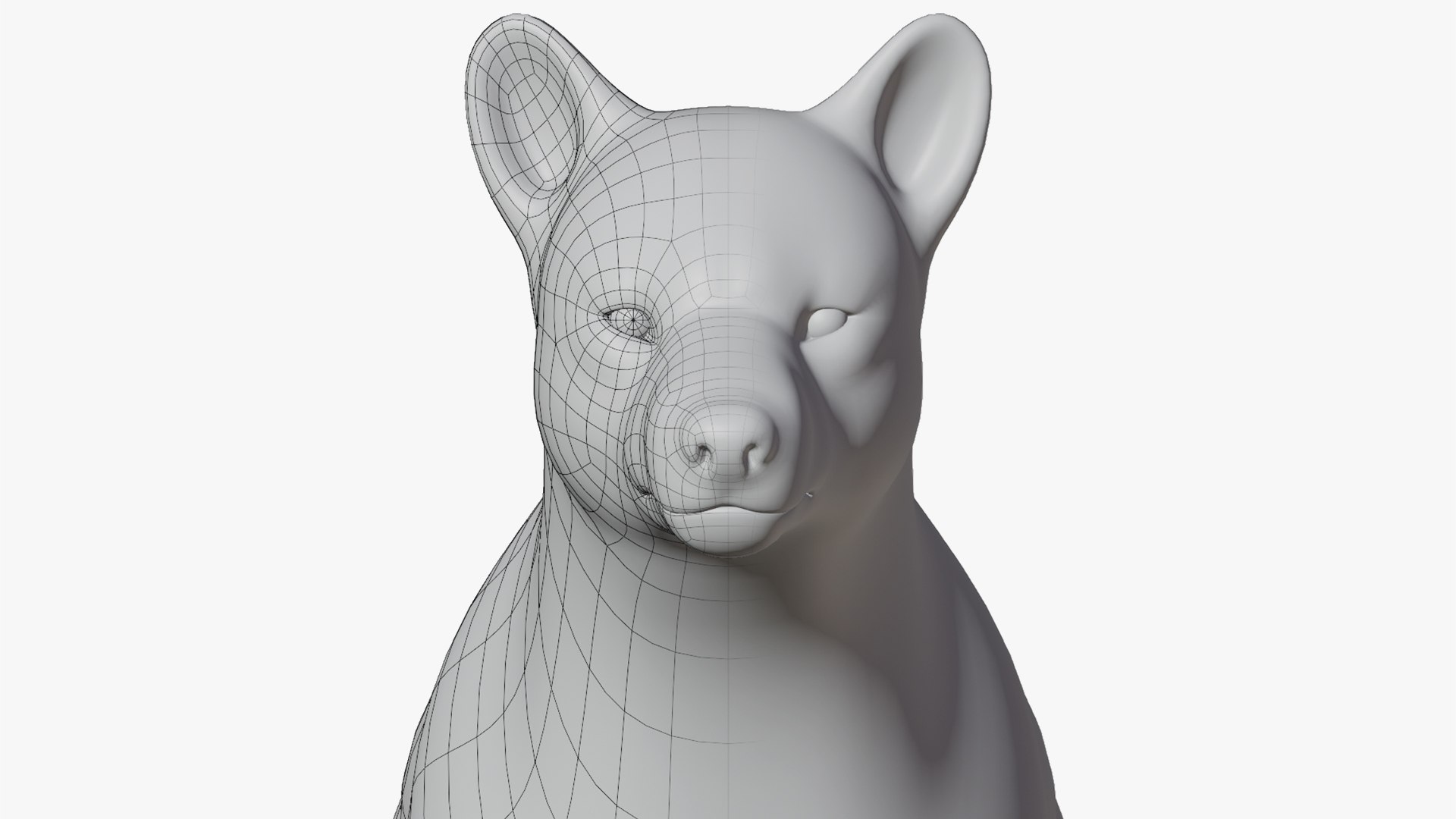 Animal Base Meshes Rigged 3D - TurboSquid 1572566