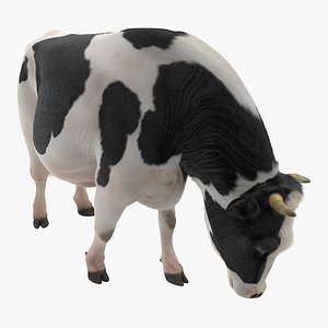 dairy cow eating pose 3D model