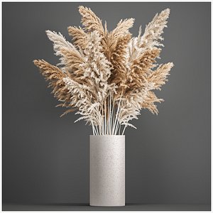 Decorative Bouquet of dried pampas grass 192 model