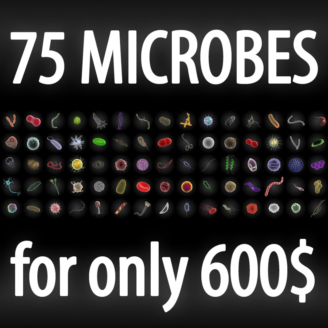 3d microbes micro organisms model https://p.turbosquid.com/ts-thumb/HM/JYz04g/HQemY6NC/_75pack/jpg/1324045191/1920x1080/fit_q87/90b4ffb03a4dd74a7479d25bcc62bd5cf2b05d9d/_75pack.jpg