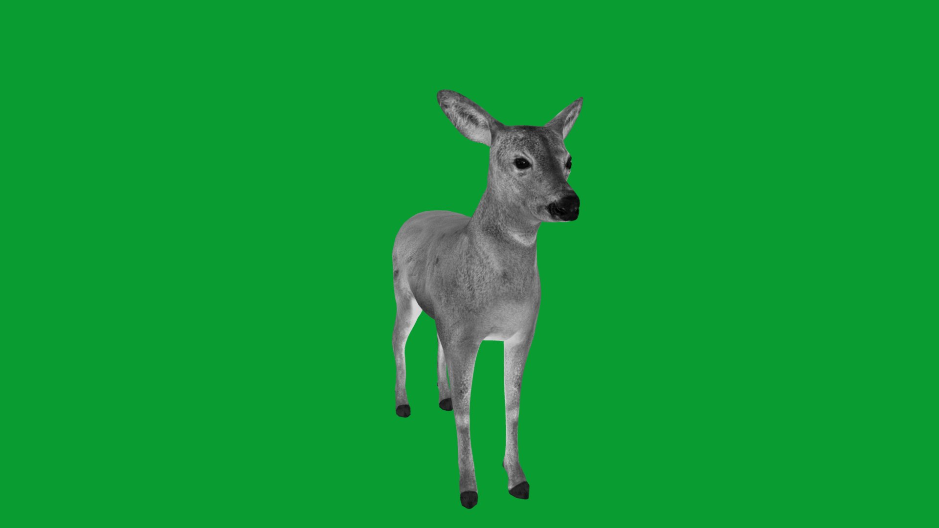 3D European Roe Deer https://p.turbosquid.com/ts-thumb/HM/V3bapj/4W/european_roe14/png/1762318645/1920x1080/fit_q87/8d2c2c983956ff861e7a5e91f5b50fcdae07a872/european_roe14.jpg