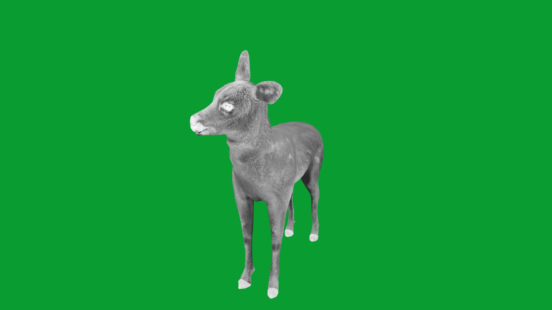 3D European Roe Deer https://p.turbosquid.com/ts-thumb/HM/V3bapj/N1/european_roe12/png/1762318644/1920x1080/fit_q87/8fafe24fb8884fc6287e8e6d294fd33f21f31c0f/european_roe12.jpg