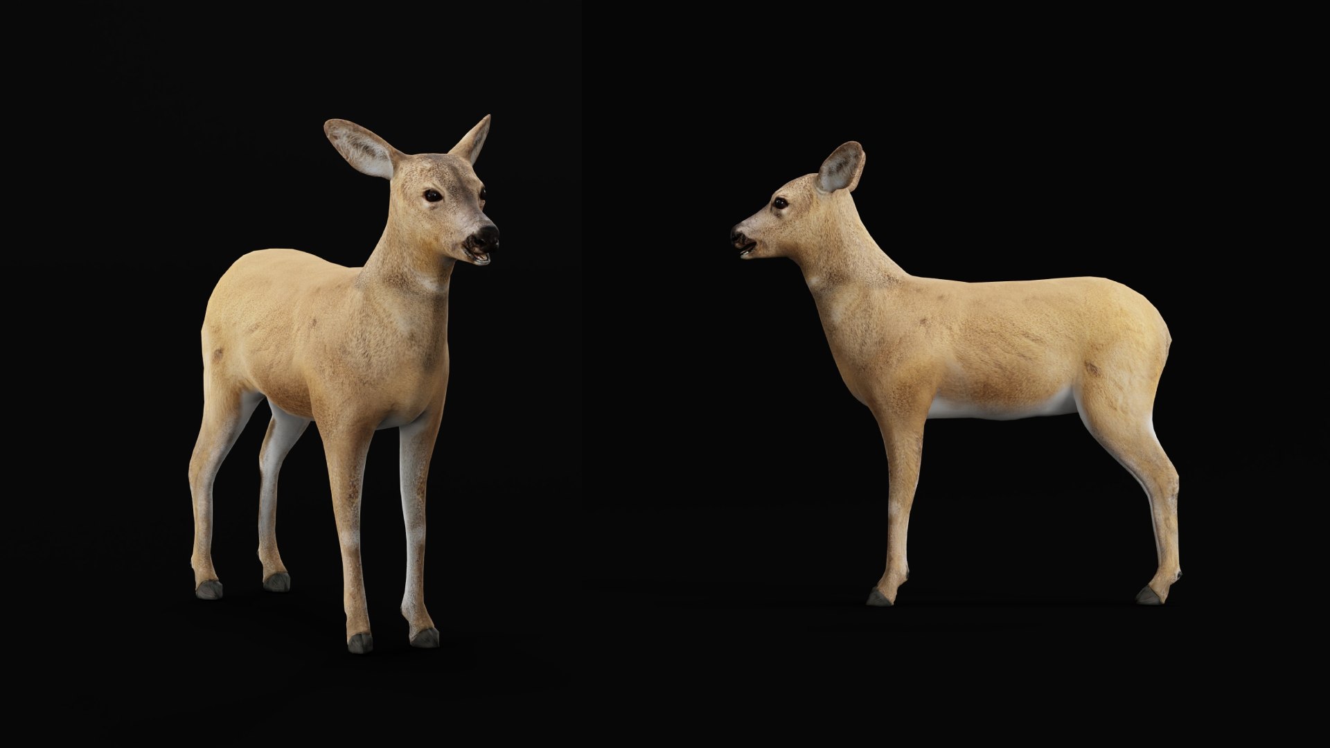 3D European Roe Deer https://p.turbosquid.com/ts-thumb/HM/V3bapj/bO/european_roe4/png/1762318635/1920x1080/fit_q87/e506711feeac51046fc91088c5e3c93d6769f62d/european_roe4.jpg