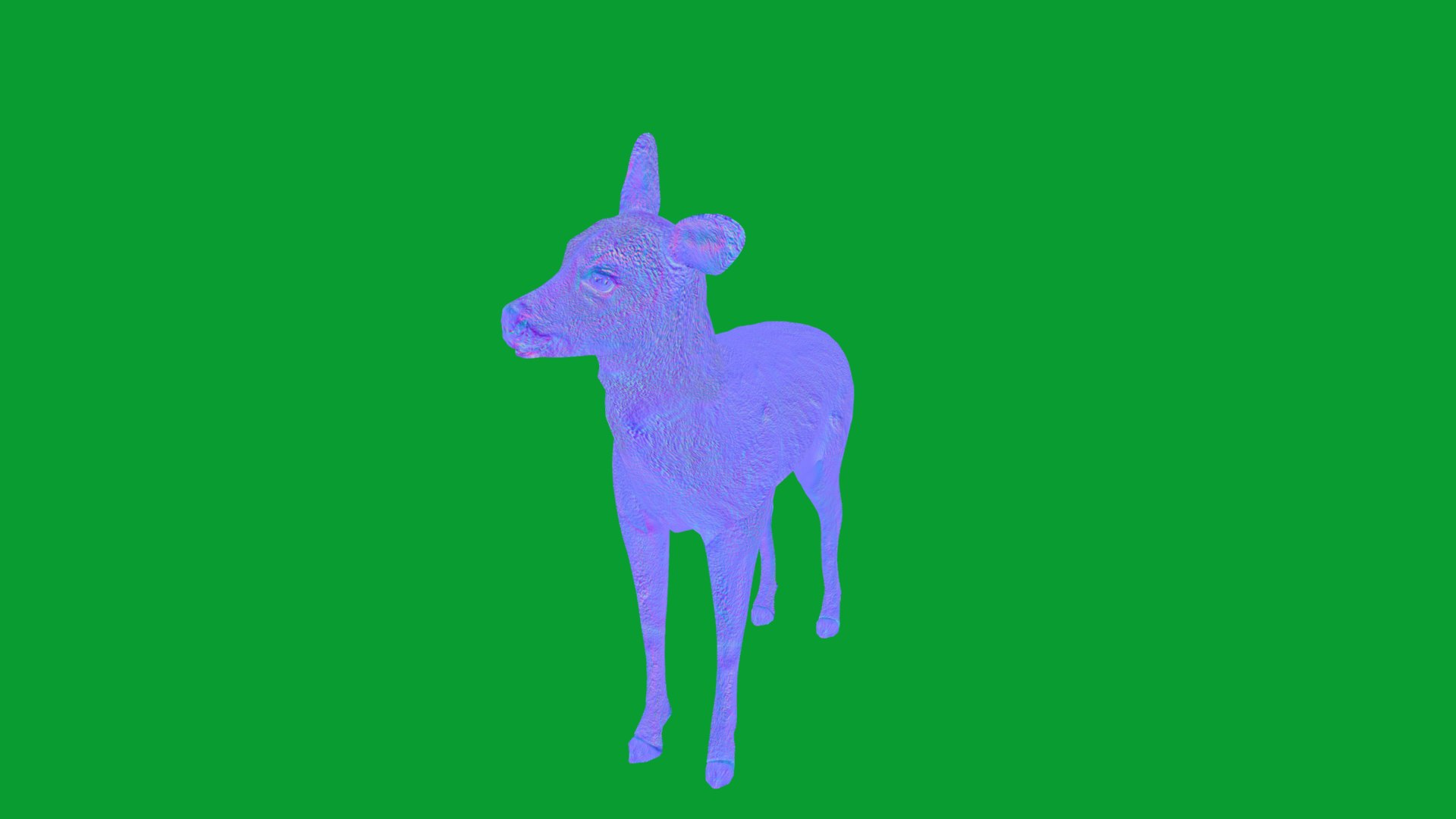 3D European Roe Deer https://p.turbosquid.com/ts-thumb/HM/V3bapj/jg/european_roe11/png/1762318643/1920x1080/fit_q87/a8c17dc2656e755d6345809161e9d32744b2b49d/european_roe11.jpg