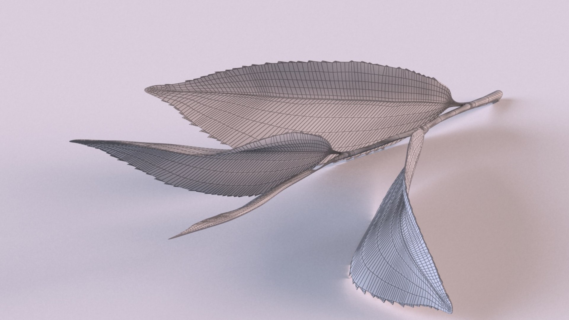 3D model tea sprig spice decor https://p.turbosquid.com/ts-thumb/HM/oVZ9zl/NtO466UC/2/jpg/1608627782/1920x1080/fit_q87/b742d563d0198a368ec43658326ce5095fe1e87d/2.jpg