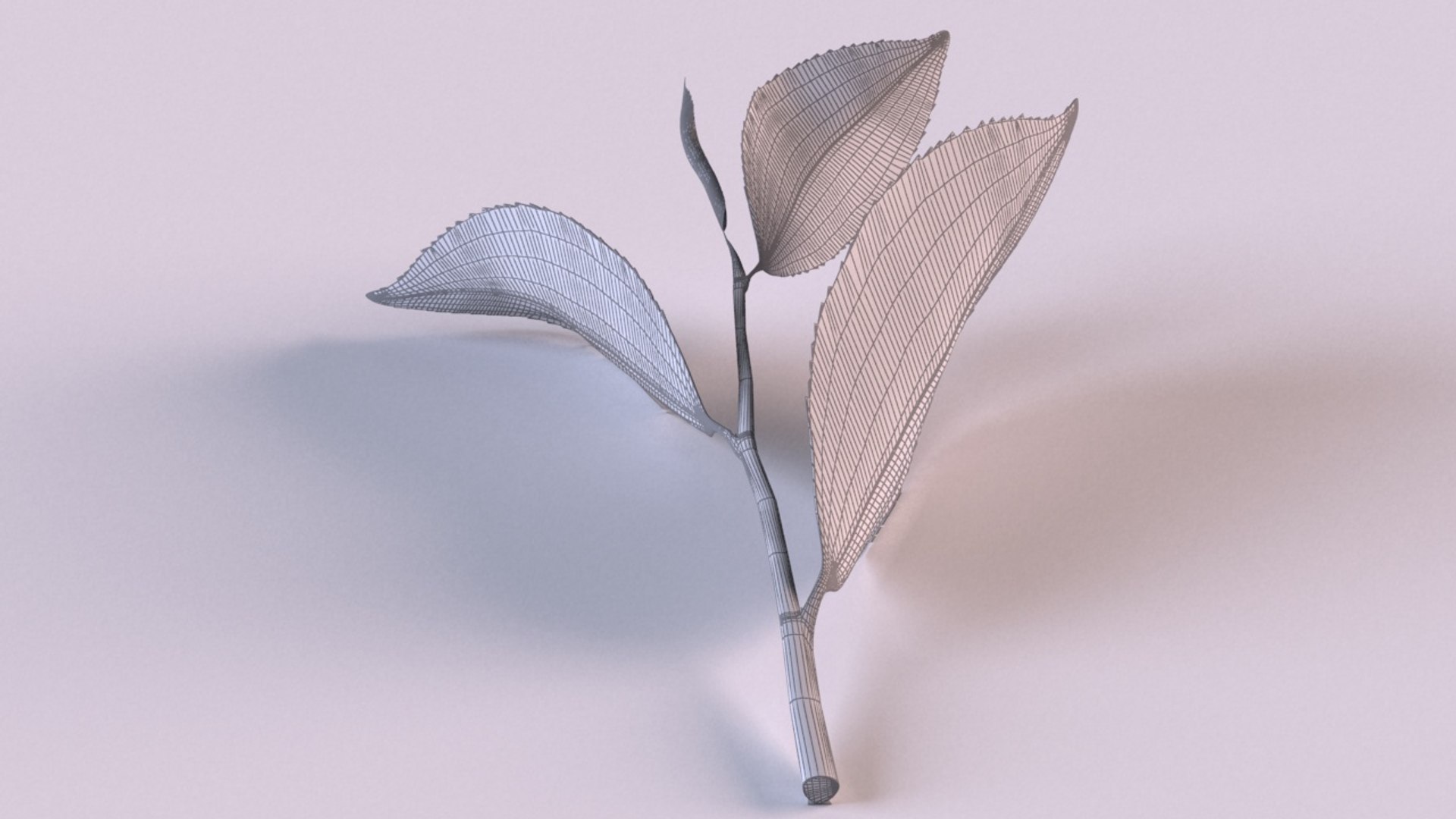 3D model tea sprig spice decor https://p.turbosquid.com/ts-thumb/HM/oVZ9zl/cuLLwZZi/6/jpg/1608627782/1920x1080/fit_q87/f038c860f454b9a2eebc36facf1f6c7a203af3f1/6.jpg