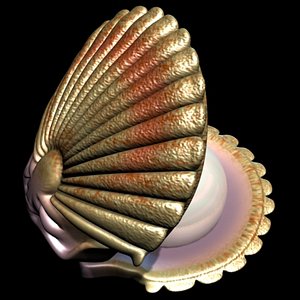 shell