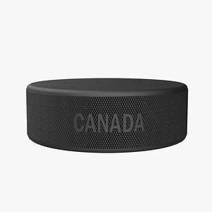 Hockey Puck