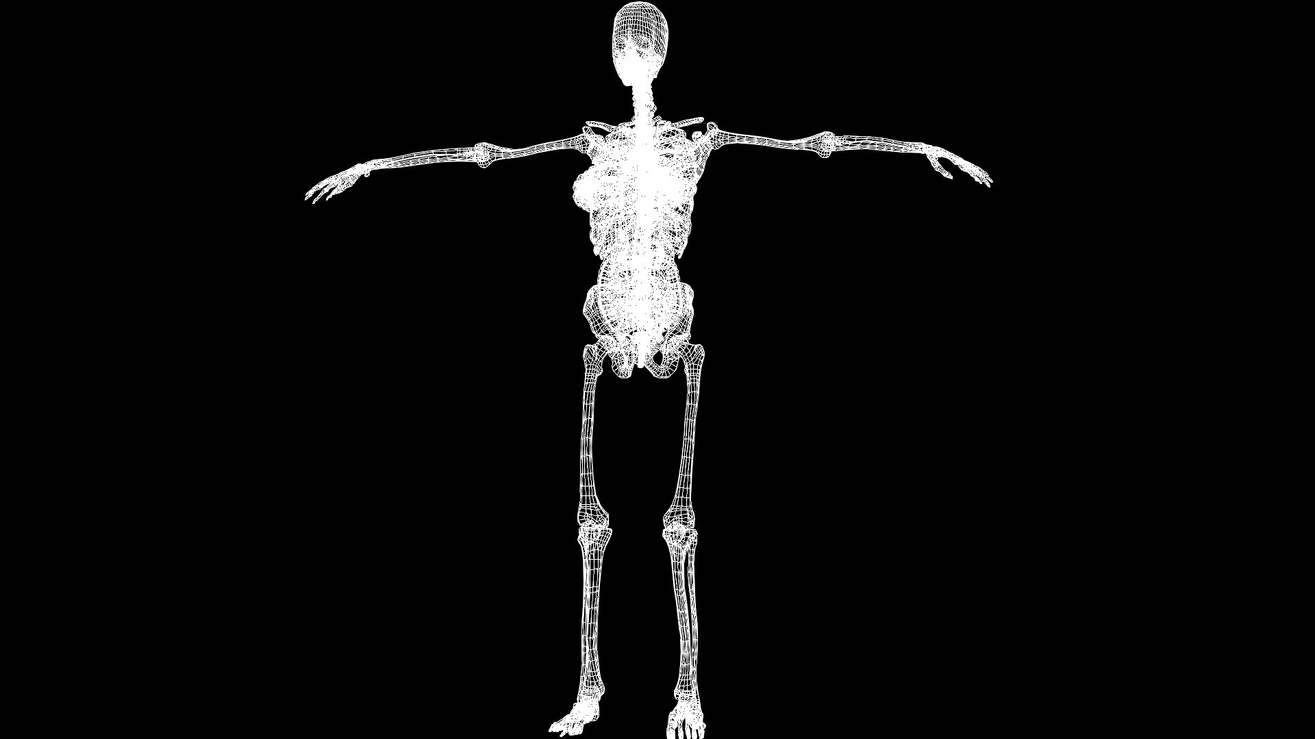 3D Female Anatomy Model TurboSquid 2082884